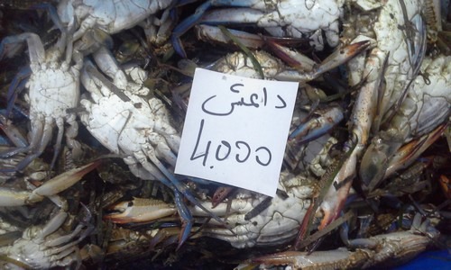 داعش البحر