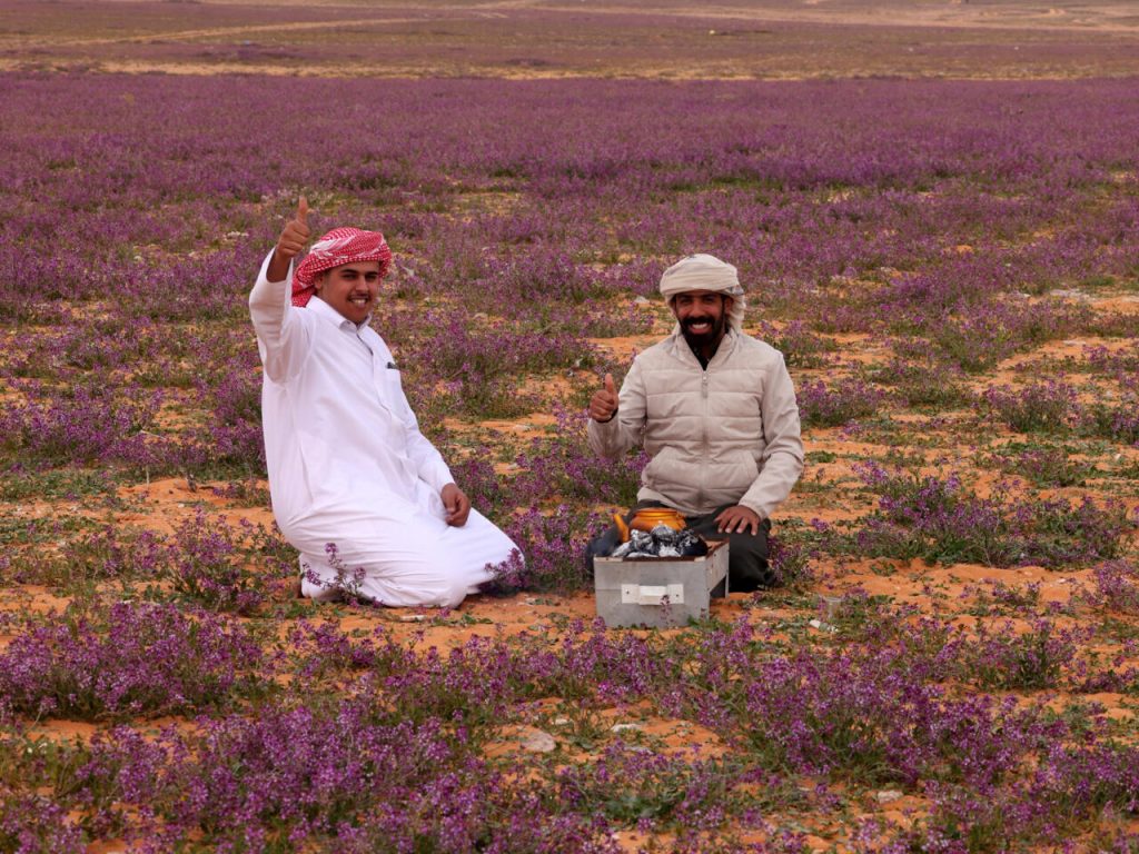 زهور الخزامى السعودية