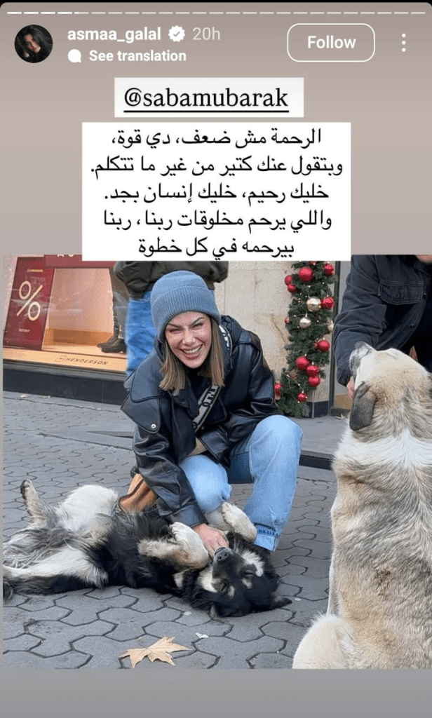 حملة واسعة ينضم لها الفنانون بعد مقتل كلب هاكسي المحلة 