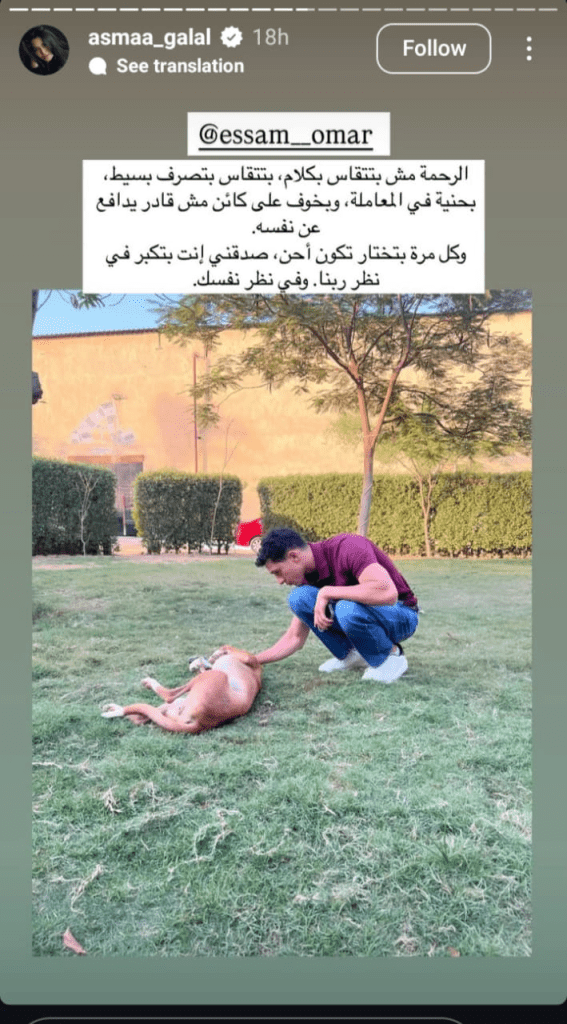 حملة واسعة ينضم لها الفنانون بعد مقتل كلب هاكسي المحلة 