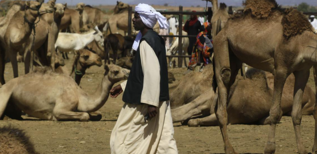 ثروات طبيعية كانت تتمتع بها مدينة فاشر