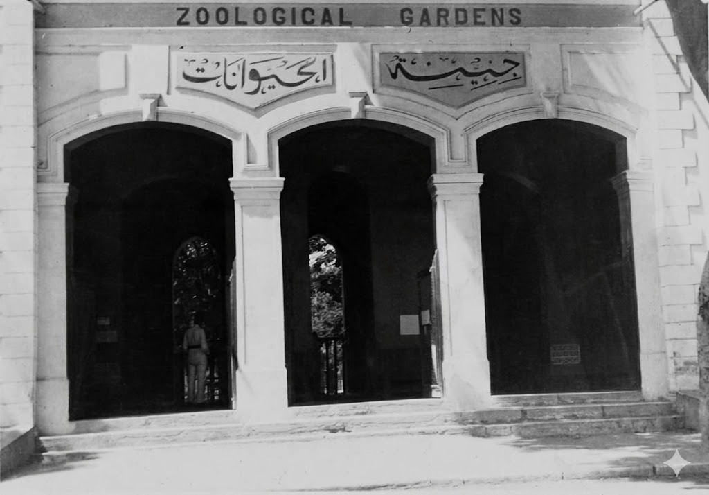 تغيير اسم حديقة الحيوان بالجيزة جنينة الحيوانات