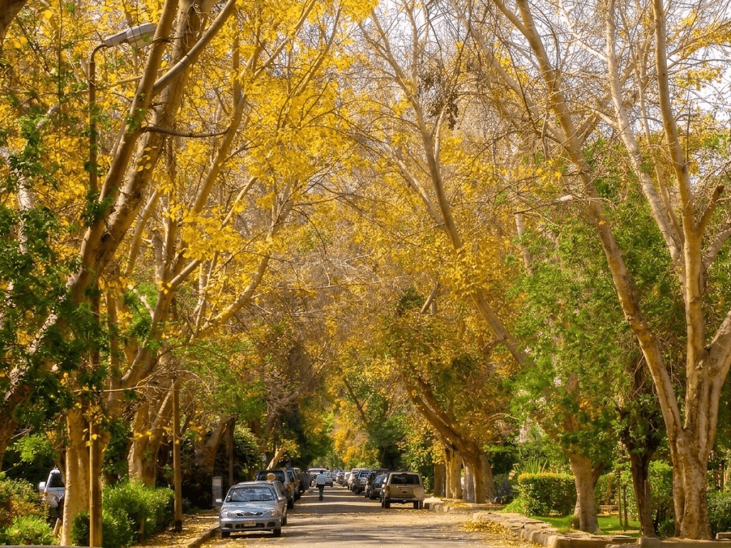 جروب شكاوي أهالي قاع الهامور 